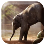 Logo of Elephant Sounds android Application 